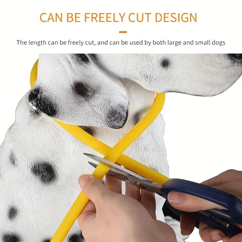 Collare luminoso per cani e gatti - Pet Dog LED Light Collar Luminos