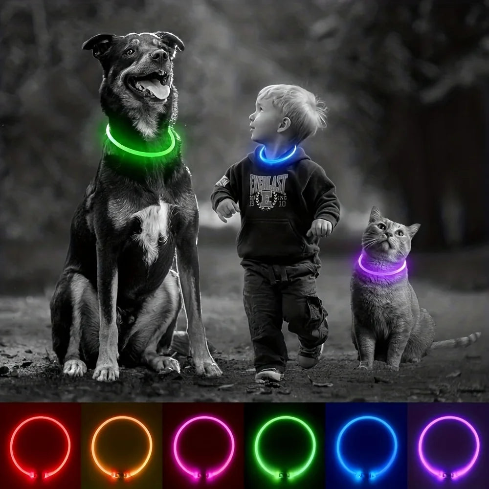 Collare luminoso per cani e gatti - Pet Dog LED Light Collar Luminos