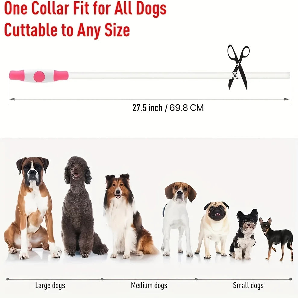 Collare luminoso per cani e gatti - Pet Dog LED Light Collar Luminos