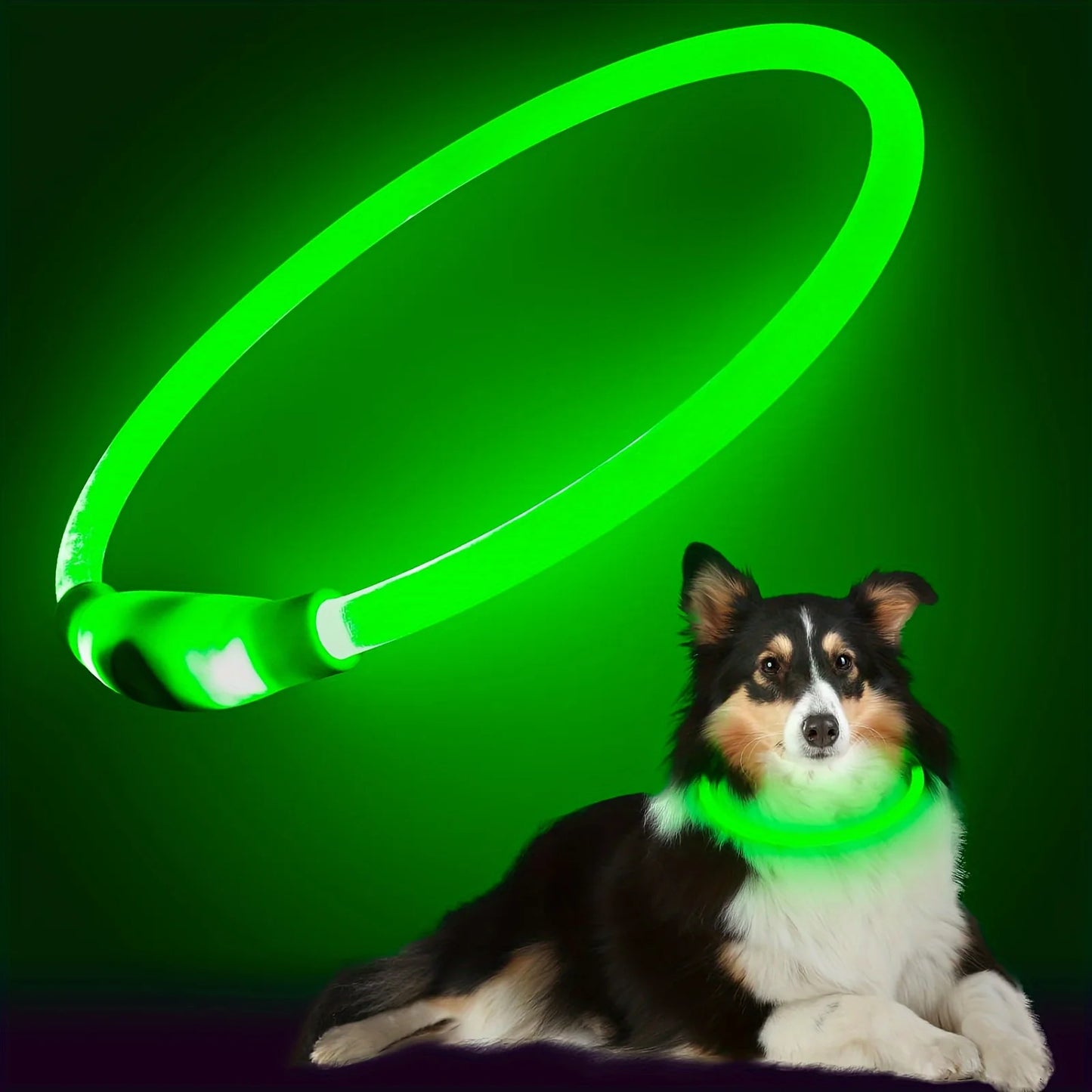 Collare luminoso per cani e gatti - Pet Dog LED Light Collar Luminos