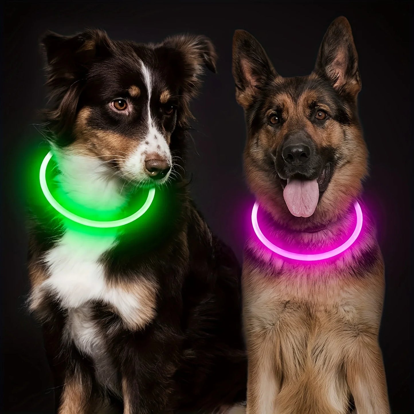 Collare luminoso per cani e gatti - Pet Dog LED Light Collar Luminos