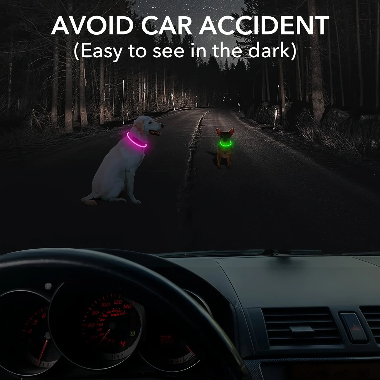 Collare luminoso per cani e gatti - Pet Dog LED Light Collar Luminos
