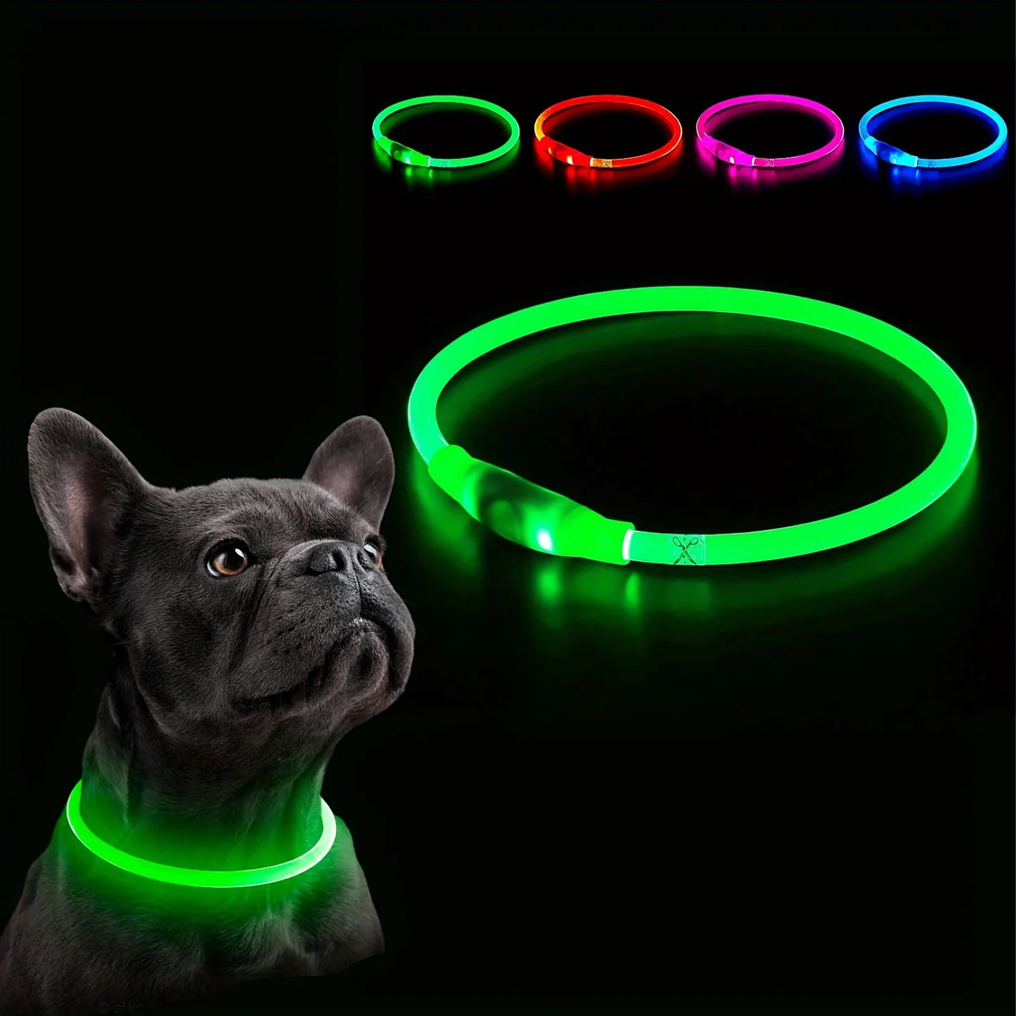 Collare luminoso per cani e gatti - Pet Dog LED Light Collar Luminos