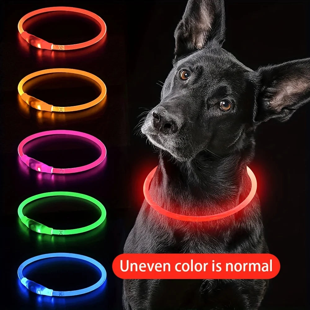 Collare luminoso per cani e gatti - Pet Dog LED Light Collar Luminos